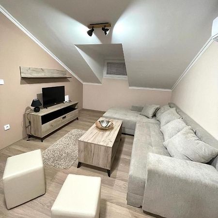 Vivko Apartments Veliko Gradište Zewnętrze zdjęcie